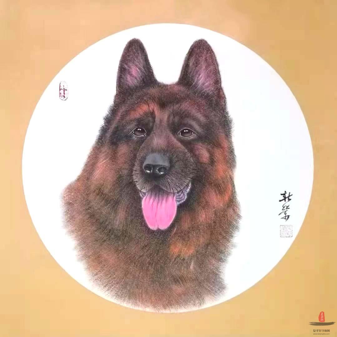 马新荣《忠诚卫士牧羊犬》